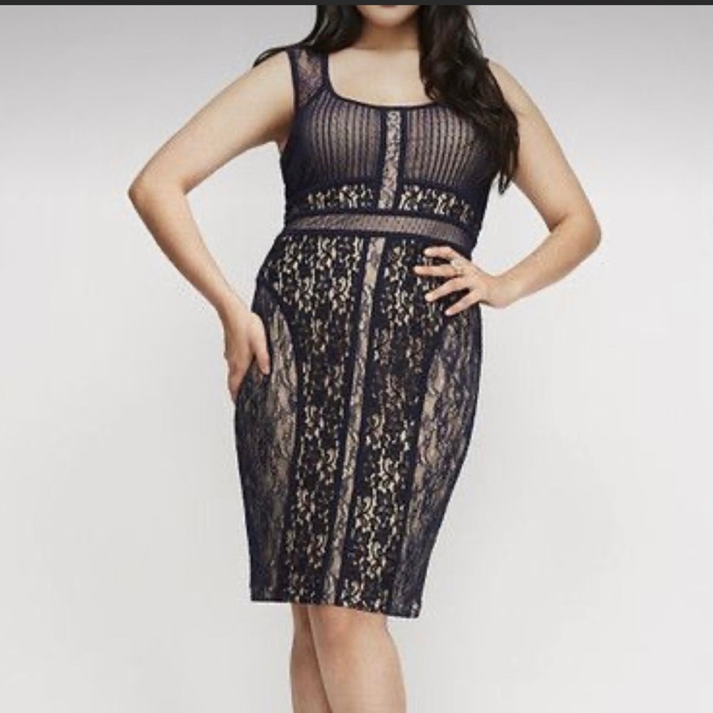 Lane Bryant Sleeveless Navy and Beige Lace Dress